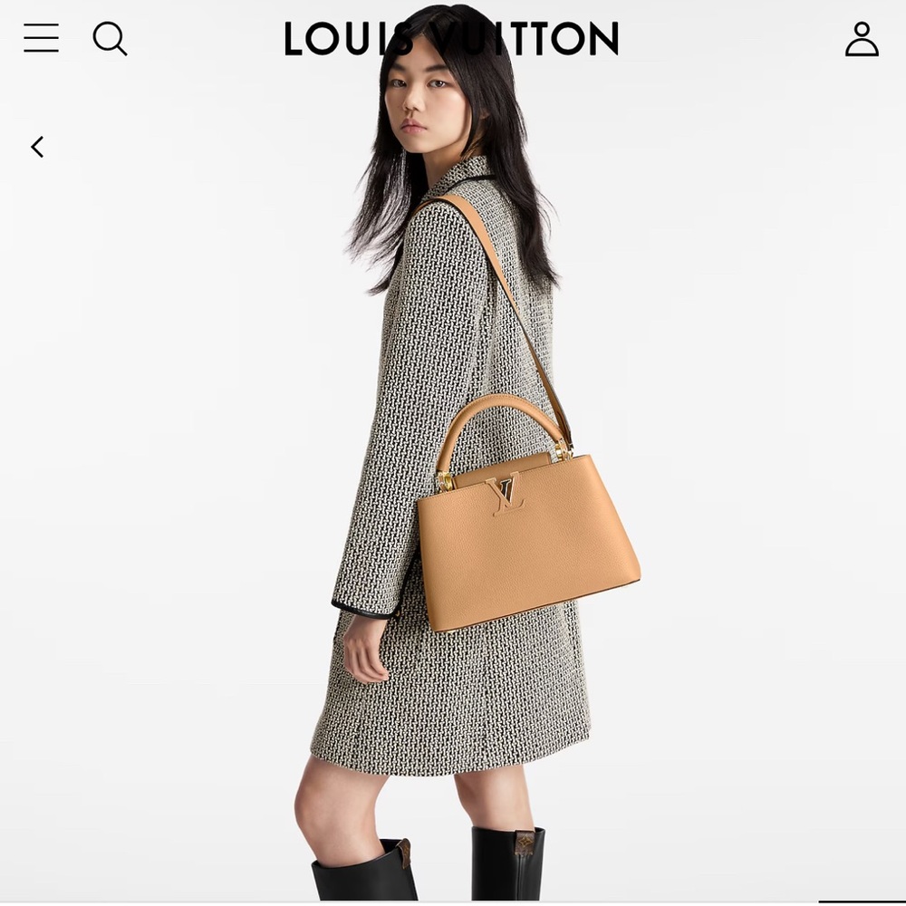 LOUIS VUITTON Capucines MM